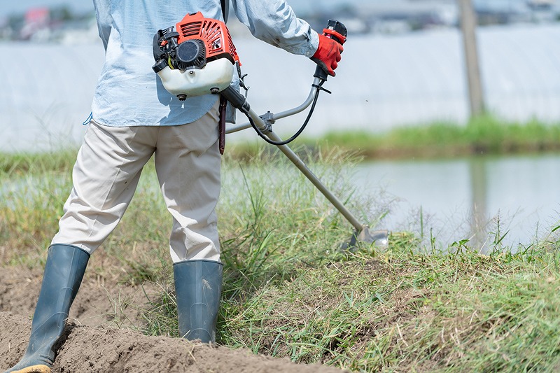 田んぼの畦を草刈りする作業員の様子です